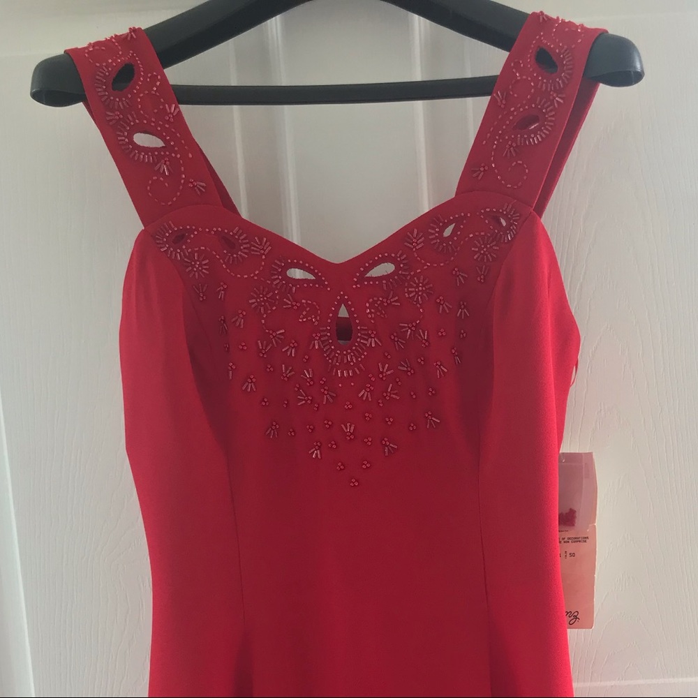 Red dress (good for winter balls)